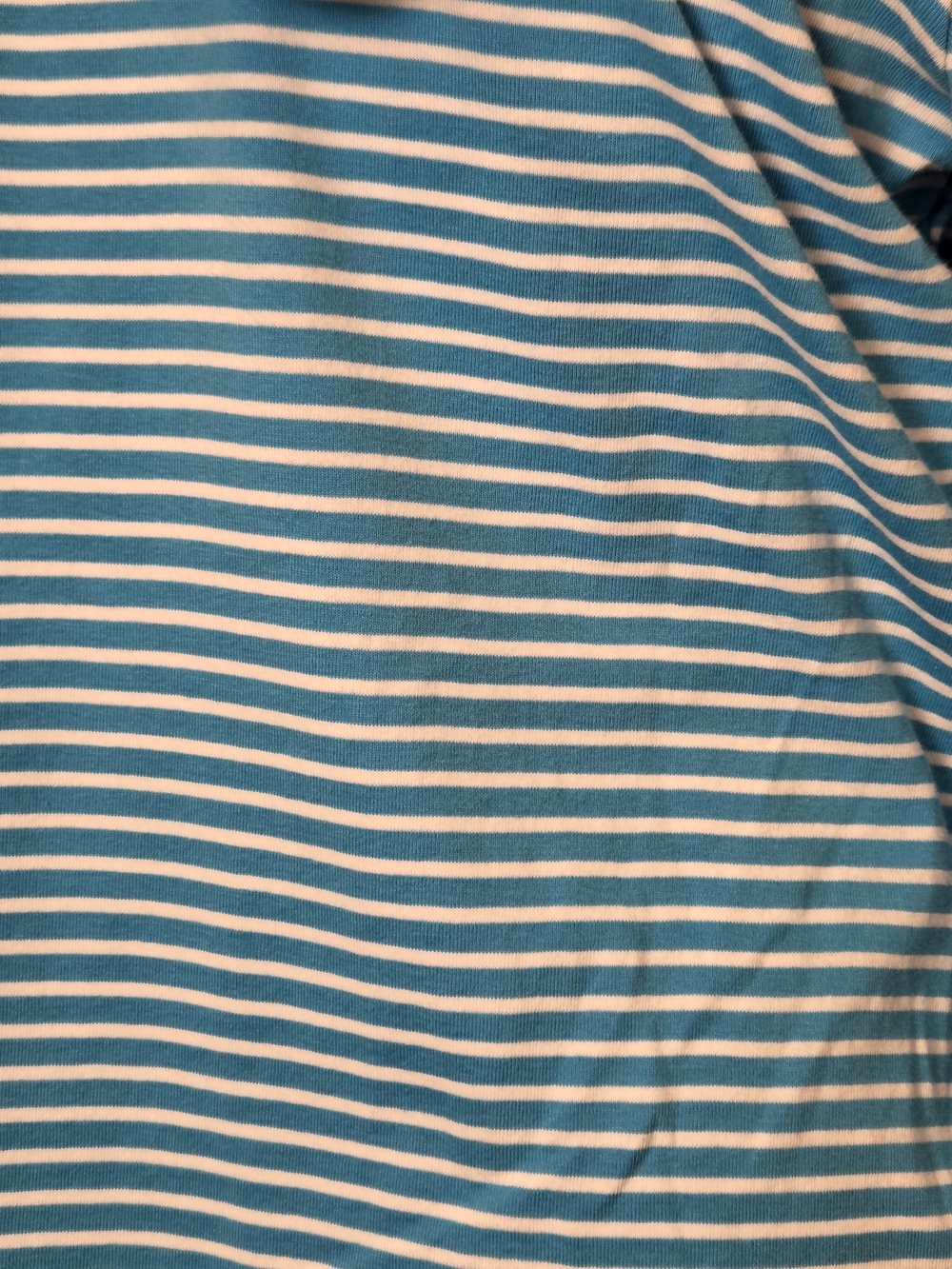 Pendleton Woolen Mills Aqua & White Striped Hooded Zip Jacket - Picture 8 of 15